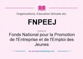 ENTREPRENEURIAT : LE FNPEEJ DISSOUT ET REMPLACÉ PAR L’ADEJ