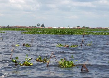ENVIRONNEMENT : LES LACS AHEMÉ, NOKOUÉ, ET LA LAGUNE DE PORTO-NOVO BIENTÔT ASSAINIS ET RÉHABILITÉS