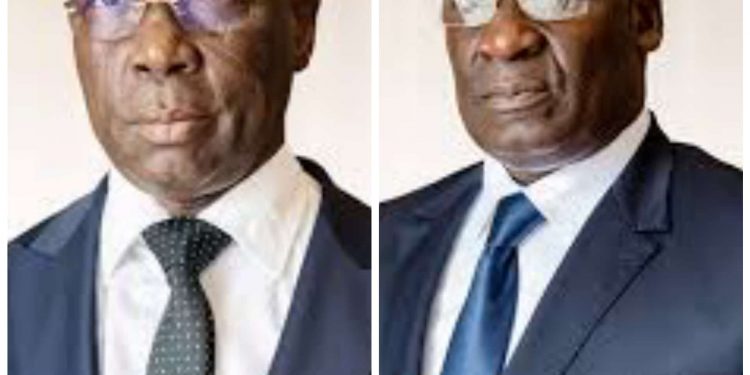 Décision de la Cour constitutionnelle : Les ministres Sacca Lafia et Alassane Séidou ne retourneront pas au Parlement