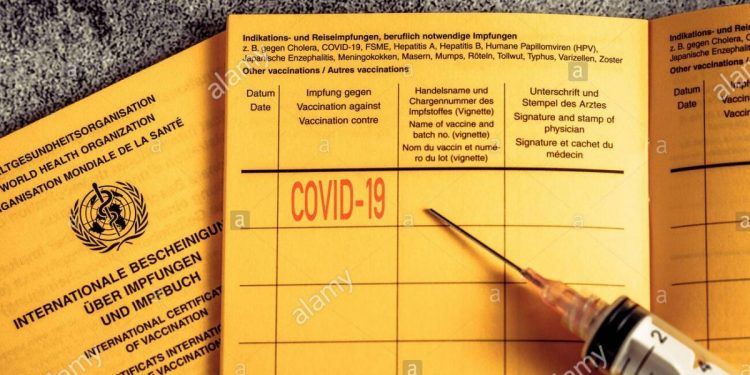 Trafic de carnets de vaccination anti-Covid : De l’infodémie à la prison