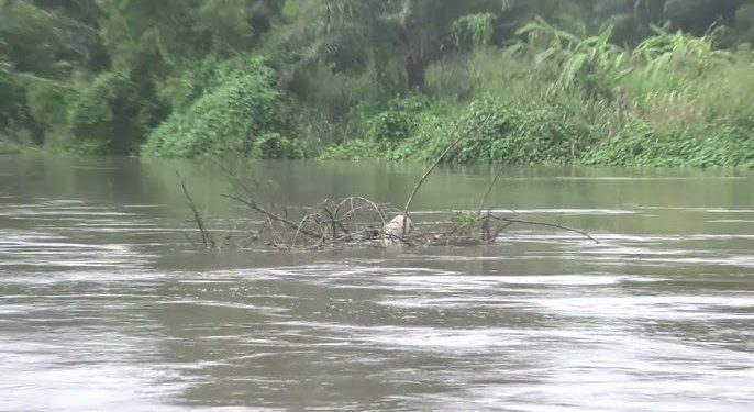 Débordement des eaux du fleuve Mono : Les populations d’Athiémé en détresse appellent au secours