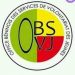 Conseil des ministres : L’Office béninois des services de volontariat des jeunes dissout