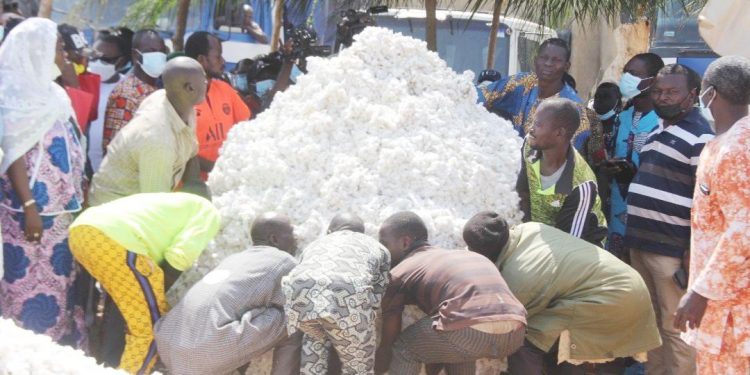 Lancement de commercialisation du coton graine à N’Dali au titre de la campagne 2021-2022 : L’Aic annonce des ambitions haussières de production