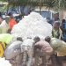 Lancement de commercialisation du coton graine à N’Dali au titre de la campagne 2021-2022 : L’Aic annonce des ambitions haussières de production