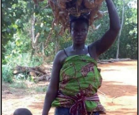 Conservation de la biodiversité dans la Lama : Les Holli, un maillon incontournable
