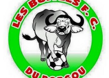 Sport : Les Buffles du Borgou sans salaire