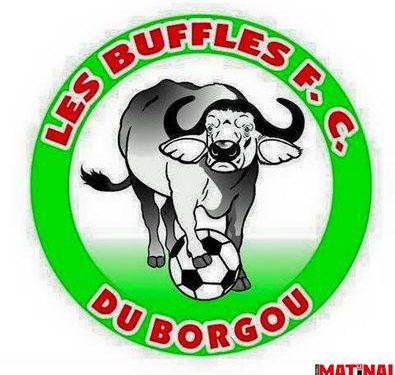 Sport : Les Buffles du Borgou sans salaire