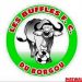 Sport : Les Buffles du Borgou sans salaire