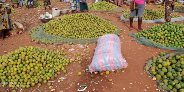 Cherté des fruits de grande production dans la zone Zou-Couffo : La Ddaep à la recherche d&rsquo;une solution