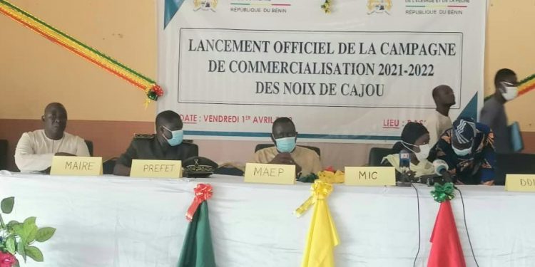 Commercialisation des noix de cajou au Bénin : La campagne 2021-2022 officiellement lancée à Bassila