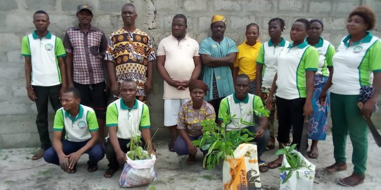 Journée nationale de l’arbre : L’Ong Adomayami « Le bon destin » met en terre 85 plants