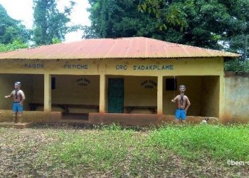 Caravane santé couplée de remise de vivres : Le Masm et Direct-Aid appuient le Cate et le foyer des sœurs missionnaires