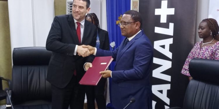 Mondial Qatar 2022 : Le Sénégal entre en compétition ce jour