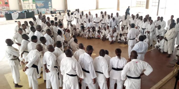 Séminaire international de Karaté-Do au Togo : Des pratiquants béninois à l’école de la Jka