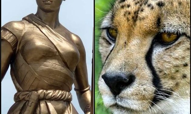 Sélections nationales de football du Bénin : Des Ecureuils aux Guépards (masculins) et Amazones (dames)