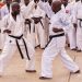 Stage national de Karaté-Do : Des ceintures noires et marrons béninois renforcées