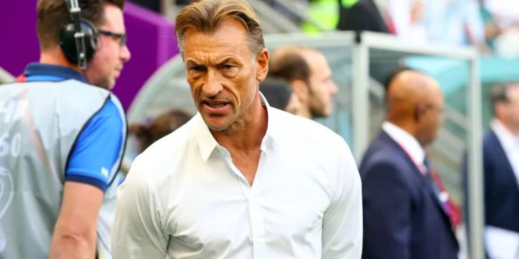 Football féminin français : Hervé Renard, nommé entraîneur des Bleues