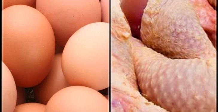 Bénin : Plus d’importation d’œufs et de poulets congelés dès le 31 décembre 2024
