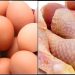 Bénin : Plus d’importation d’œufs et de poulets congelés dès le 31 décembre 2024