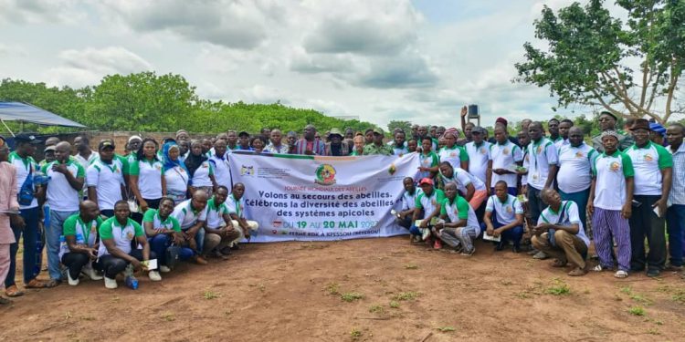 Bénin: La Journée mondiale des abeilles 2023 célébrée à la ferme Kdk de Charles Toko
