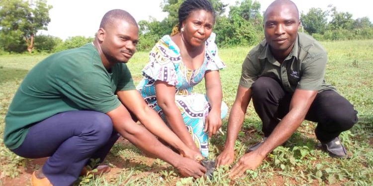 Célébration de la journée de l’arbre à Kinta : L’Ajek marque l’événement avec 1500 plants