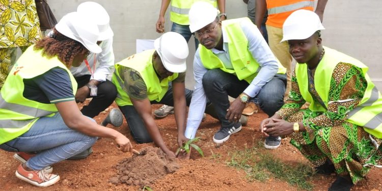 Mise en terre de 1.000 plantes à Gakpé (Ouidah) : La Sbee et Vinci énergies œuvrent pour la protection de l’environnement