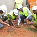 Mise en terre de 1.000 plantes à Gakpé (Ouidah) : La Sbee et Vinci énergies œuvrent pour la protection de l’environnement