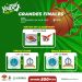 Finale Youzou Ligue Pro de basket-ball : Les champions 2022-2023 connus ce samedi