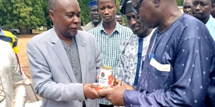 Bénin: Le gouvernement encourage la production du riz paddy