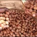 Campagne 2023-2024 des amandes de karité au Bénin : Les dates d’ouverture et de clôture connues