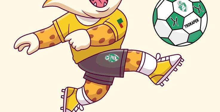 Handball béninois : 37 femmes entraîneuses en route pour la licence D Ihf