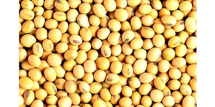 Une réorganisation des filières anacarde et soja est annoncée au Bénin pour plus de performances. La décision a été prise en Conseil des ministres.