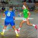 3ème journée de la phase 2 Ligue Pro de handball : Double succès de Flowers