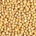 Production agricole : Les nouvelles conditions de commercialisation du soja