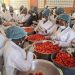 Journée internationale des droits de la femme : Les femmes Br de Doumè au laboratoire