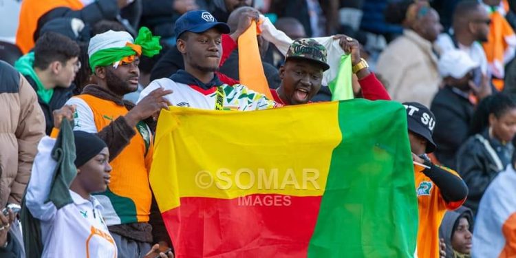 Après la première trêve internationale de l’année 2024 : Les Guépards rassurants mais…