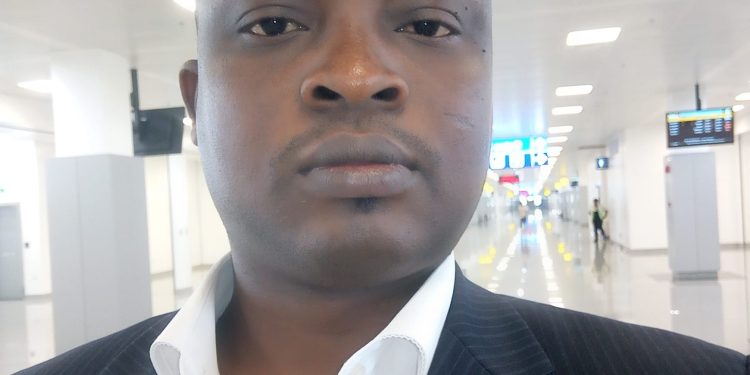 Filière champignons comestibles au Bénin : Enjeux et défis d&rsquo;une mine d&rsquo;or sous exploitée