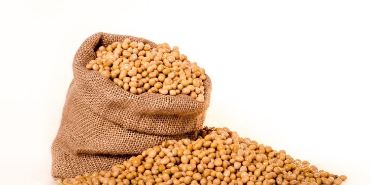 Bénin : L’interdiction d&rsquo;exportation du soja grain et des noix brutes de cajou en vigueur dès ce 1er avril