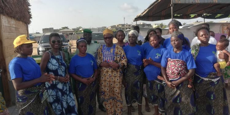 Filière champignons comestibles au Bénin : Enjeux et défis d’une mine d’or sous exploitée