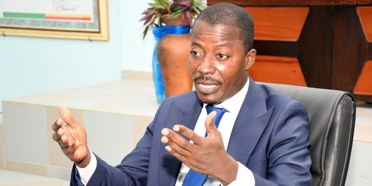 Filière champignons comestibles au Bénin : Enjeux et défis d’une mine d’or sous exploitée