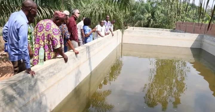 Production locale d’aliments poissons au Bénin : Acteurs, chercheurs et universitaires capitalisent leurs expériences