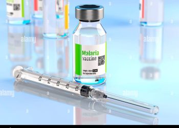 La vaccination contre le paludisme démarre au Bénin le 25 avril 2024, Journée mondiale de lutte contre le paludisme