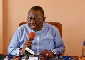Cherté du maïs au Bénin : La thérapie du gouvernement aux producteurs