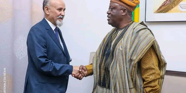 Affabulations contre le Bénin dans la crise face au Niger : Kèmi Séba et Nathalie Yamb recadrés