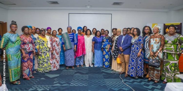 Assemblée nationale du Bénin : Regards critiques sur l’activisme des femmes députées
