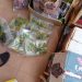 La lutte contre les boissons alcoolisées en sachet plastique a pris de l’ampleur dans l’Atacora et la Donga avec une opération inopinée dans l’arrondissement de Kountori, Commune de Cobly.