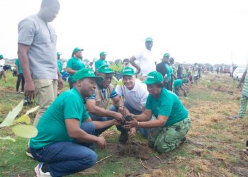 Au Bénin, la Sobébra reboise la forêt classée de Sèmè-Podji avec 50.000 plants. L'opération a eu lieu le samedi 8 juin 2024.