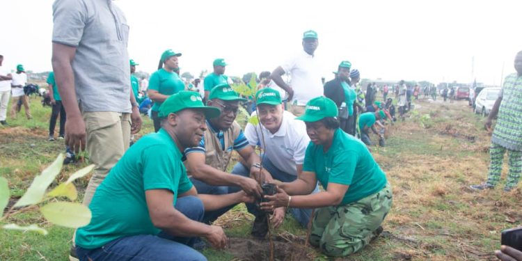 Au Bénin, la Sobébra reboise la forêt classée de Sèmè-Podji avec 50.000 plants. L'opération a eu lieu le samedi 8 juin 2024.