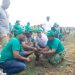 Au Bénin, la Sobébra reboise la forêt classée de Sèmè-Podji avec 50.000 plants. L'opération a eu lieu le samedi 8 juin 2024.