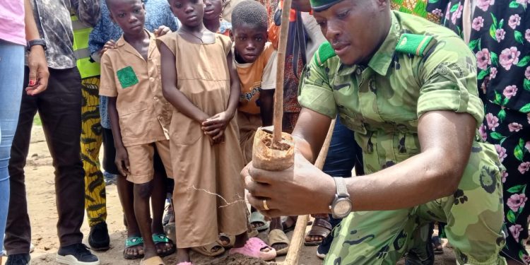 La Sgds, l’Ong Bénin Villes propres et Wendie Renard œuvrent pour le reboisement au Bénin.